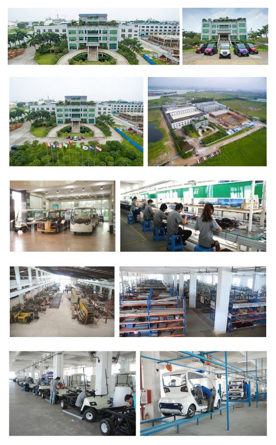 2 Seater Battery Power Electric Sightseeing Car