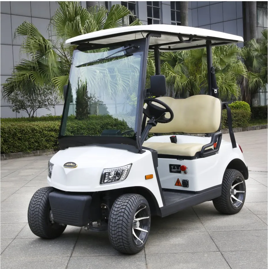 2 Seater Electric Golf Car Golf Cart (DG-M2)