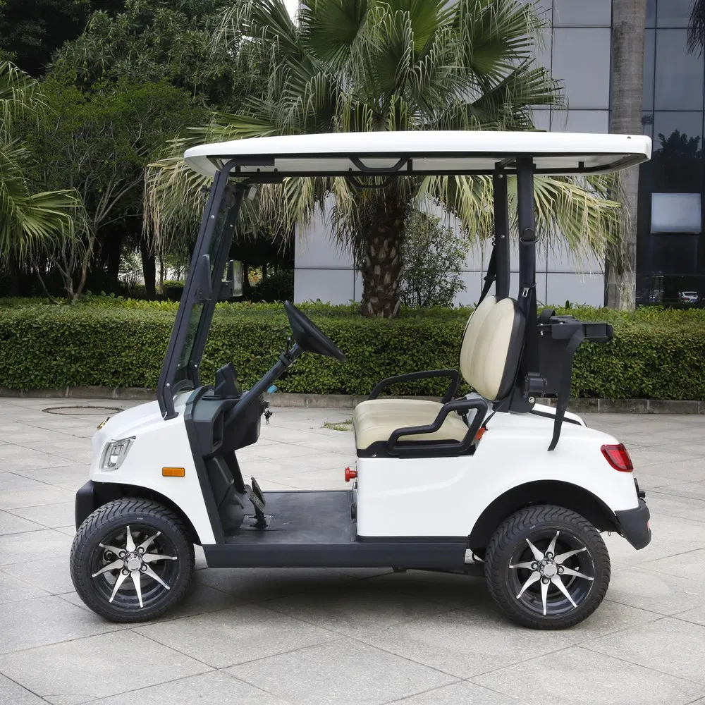 2 Seater Electric Golf Car Golf Cart (DG-M2)