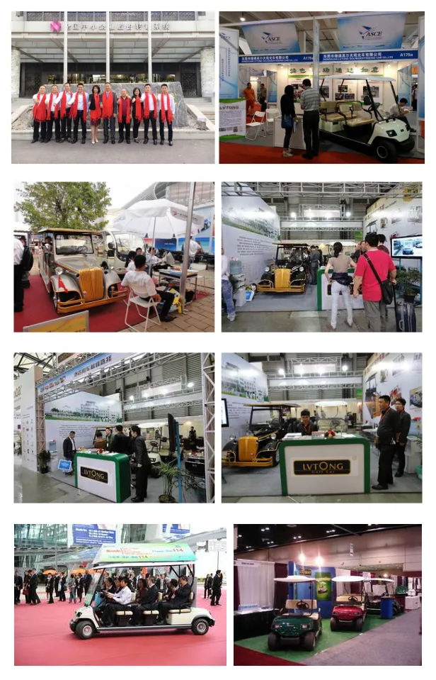 2 Seaters Electric Cargo Cart (LT-A2. H8)