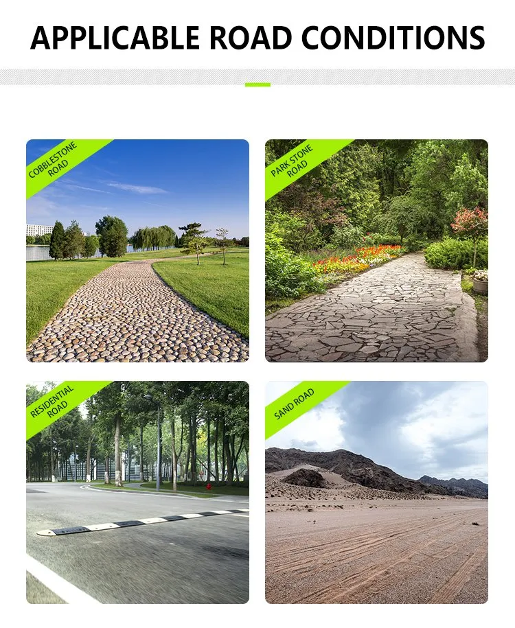 20-30% Hike VIP Container 2700*1200*1800mm Electric Cart Golf Car with ISO