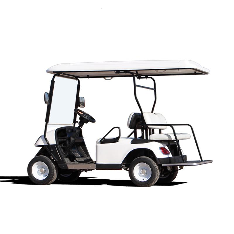 20-30% Hike VIP Container 2700*1200*1800mm Electric Cart Golf Car with ISO