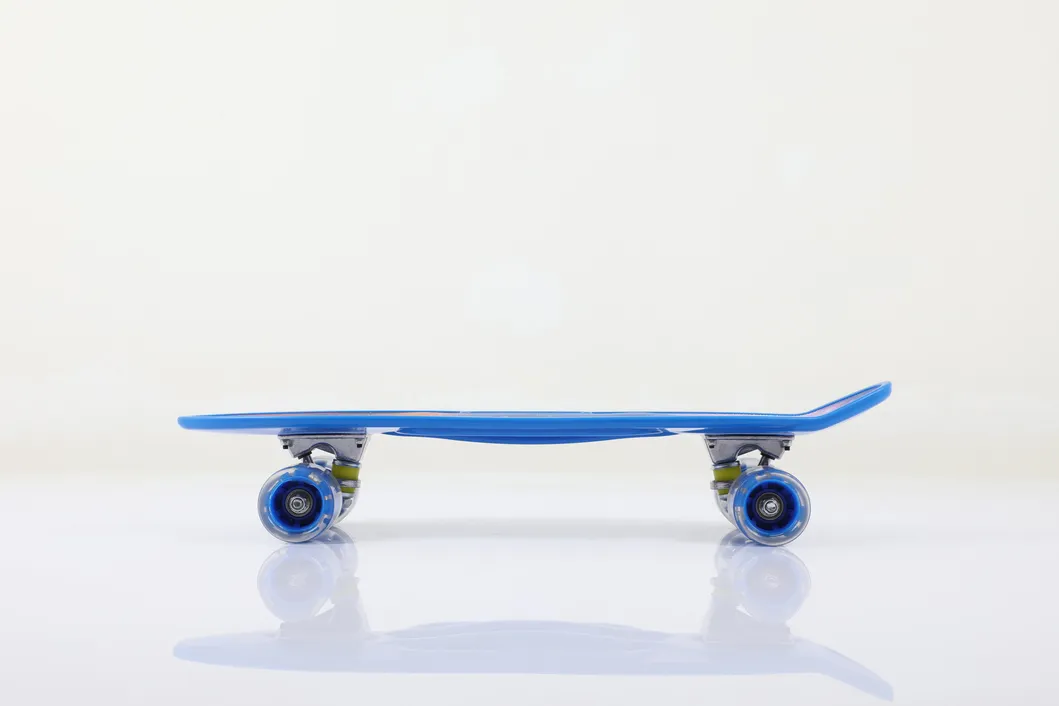 22 Inch Skate Board Hot Sales Plastic Fish Skateboard