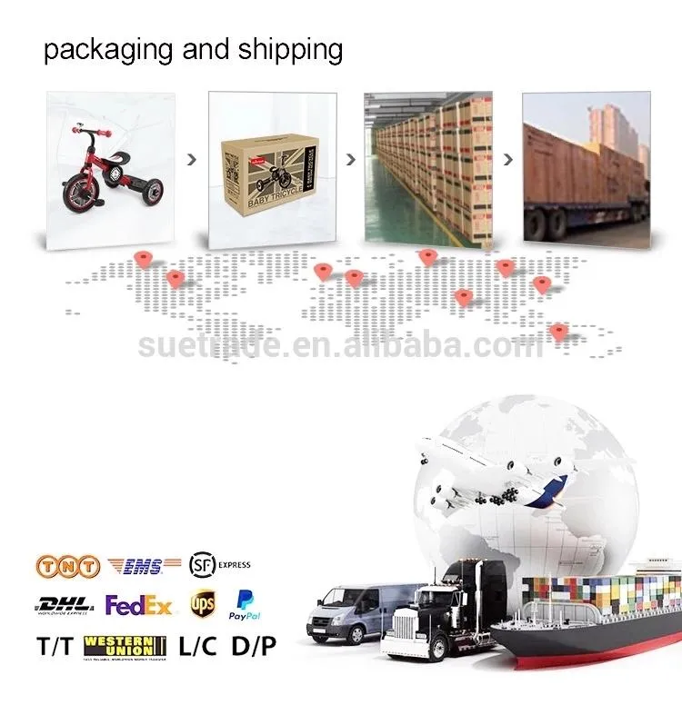 22 Inch Skate Board Hot Sales Plastic Fish Skateboard