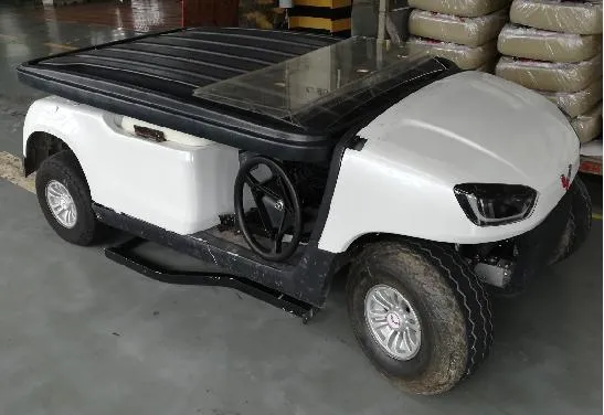 4+2 Golf Cart High-Strength Aluminum Alloy Dacromet Technology with CE Certificate