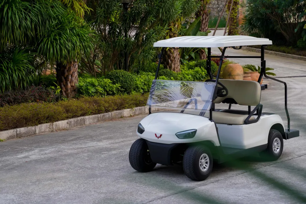 4+2 Golf Cart High-Strength Aluminum Alloy Dacromet Technology with CE Certificate