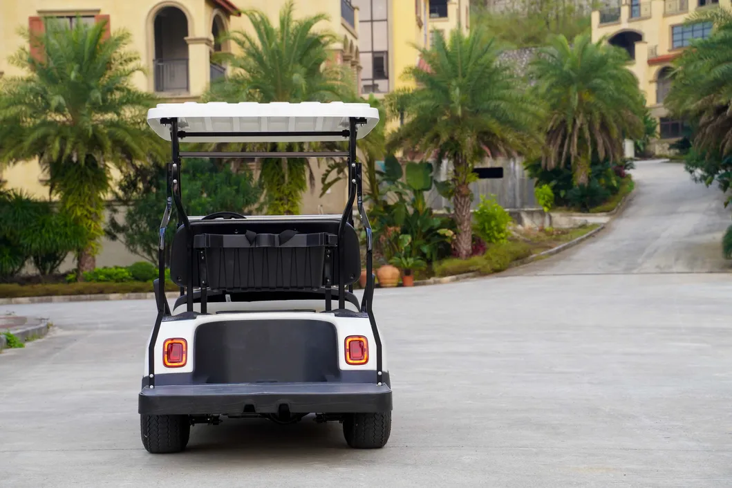 4+2 Golf Cart High-Strength Aluminum Alloy Dacromet Technology with CE Certificate