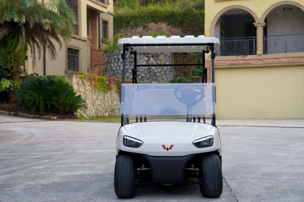 4+2 Golf Cart High-Strength Aluminum Alloy Dacromet Technology with CE Certificate