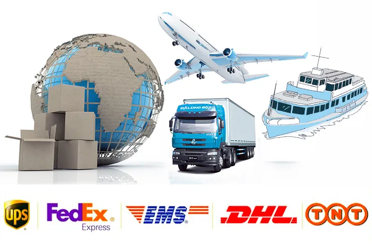 7 Layer Canadian Maple Deck 4 Wheels Surf Carving Cruiser Skateboard with G-Truck Surfskate for Adults