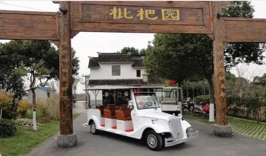 8 Seaters Shuttle Bus Classic Sightseeing Cart