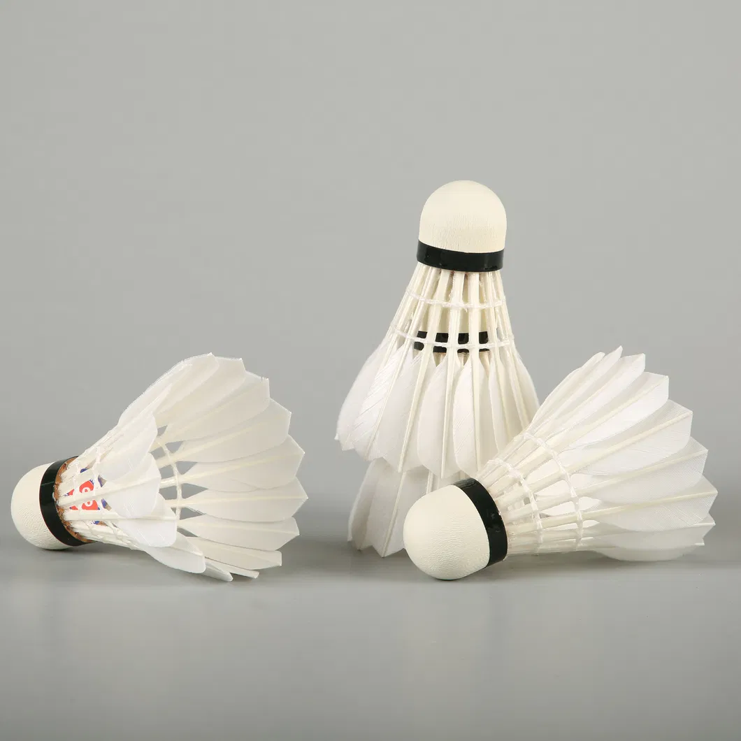Aeroplane Black Eg1130 Quality Class a Goose Feather Badminton Shuttlecock