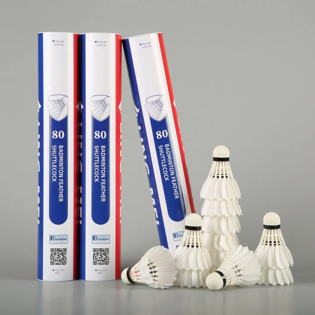 Aeroplane Black Eg1130 Quality Class a Goose Feather Badminton Shuttlecock