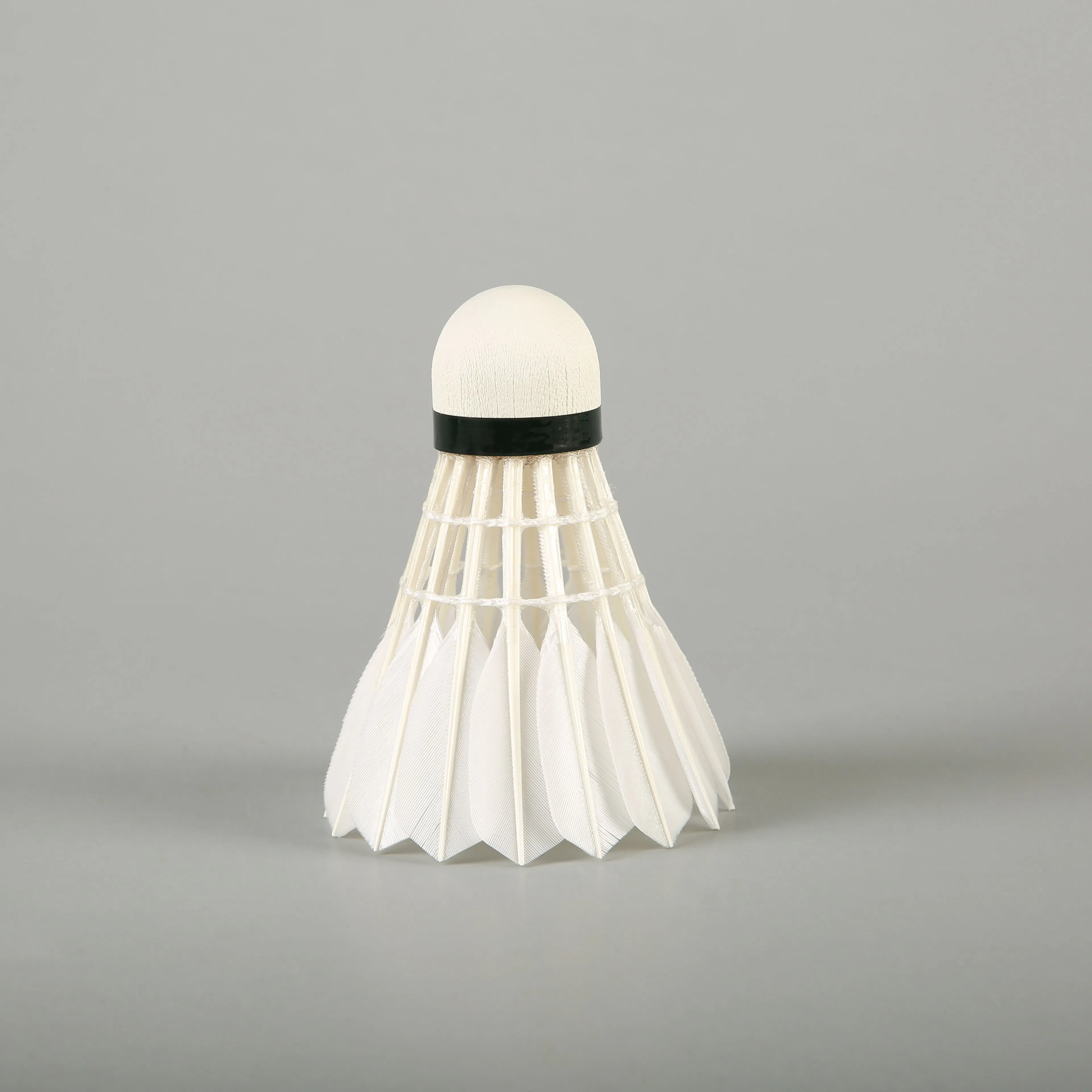 Aeroplane Black Eg1130 Quality Class a Goose Feather Badminton Shuttlecock