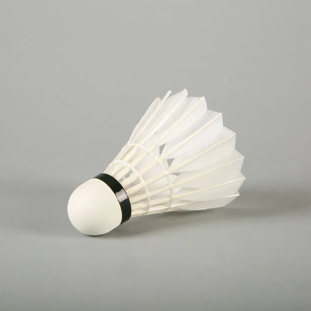 Aeroplane Black Eg1130 Quality Class a Goose Feather Badminton Shuttlecock