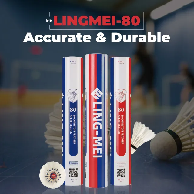 Aeroplane Black Eg1130 Quality Class a Goose Feather Badminton Shuttlecock