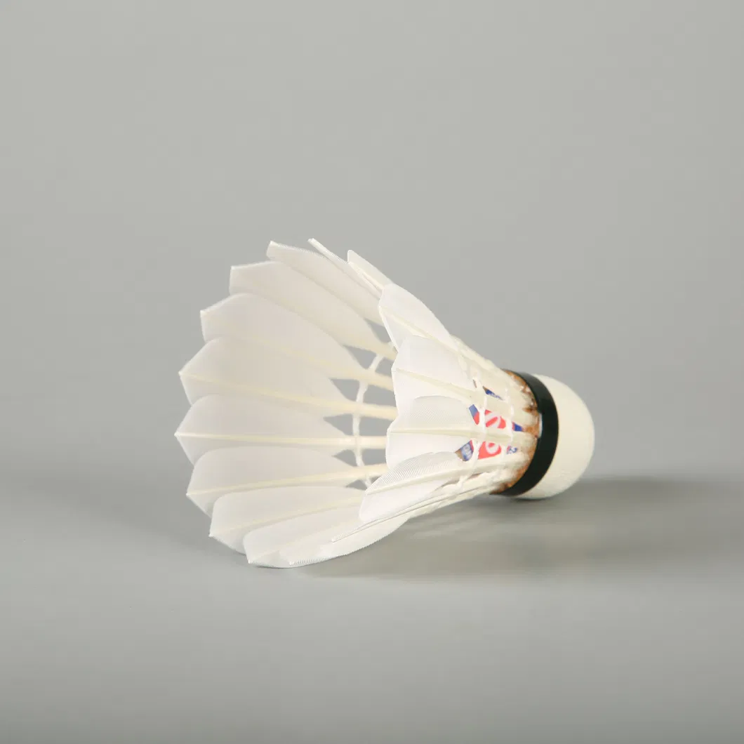 Aeroplane Black Eg1130 Quality Class a Goose Feather Badminton Shuttlecock