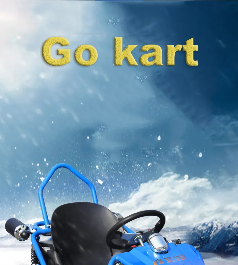 Agy Automatic off Road 200cc Racing Go Kart