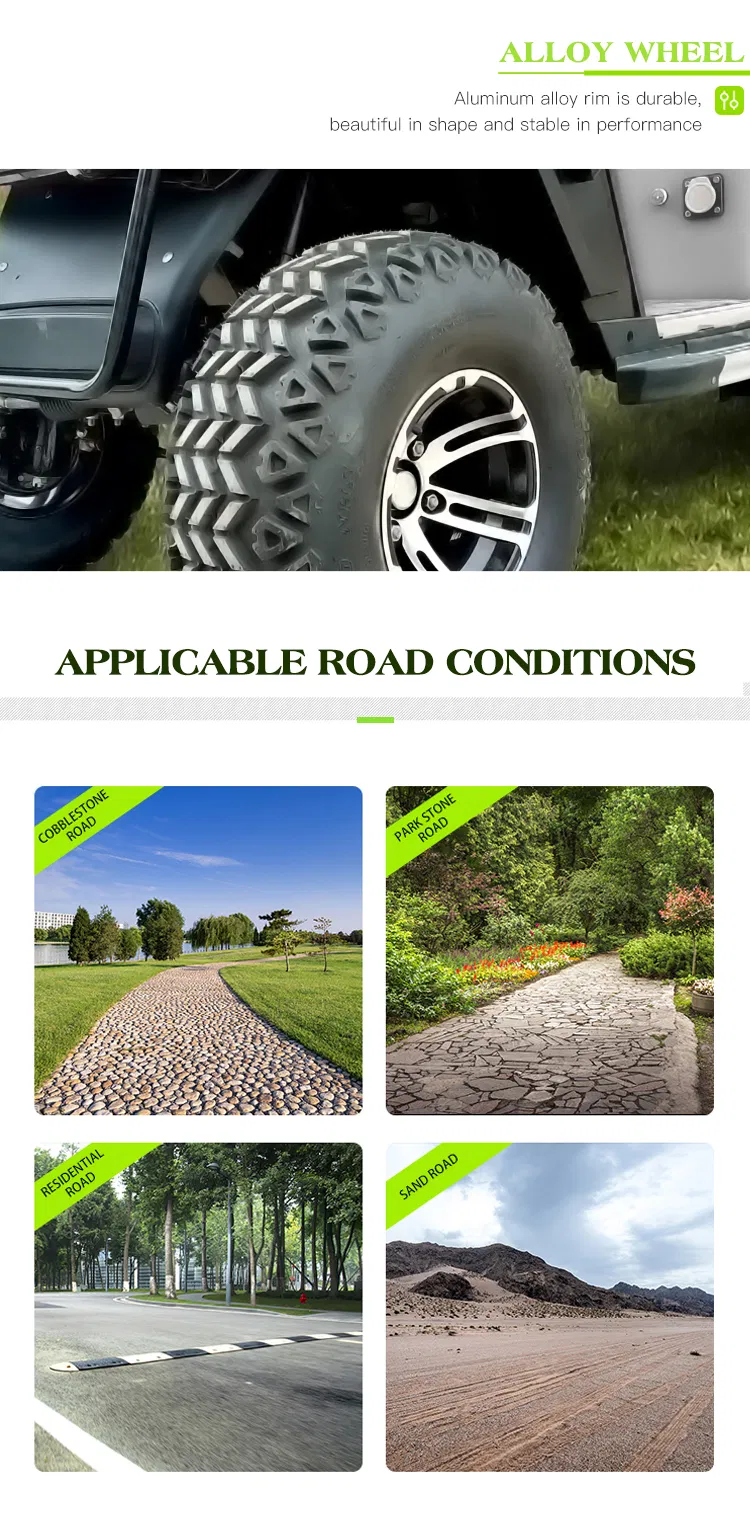 Can Be Cutomized Haike for Sale Golf Cart with CE Hkgr-A42