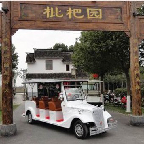CE Certificate Competitive Price Electric Classic Car with Great Multifunctional Aluminum Frame
