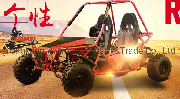Cheap China Two Seater Go Karts for Sale