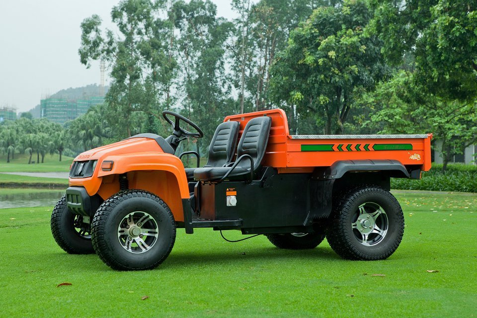 China 100km Range 48V Electric Utility Vehicle Cart