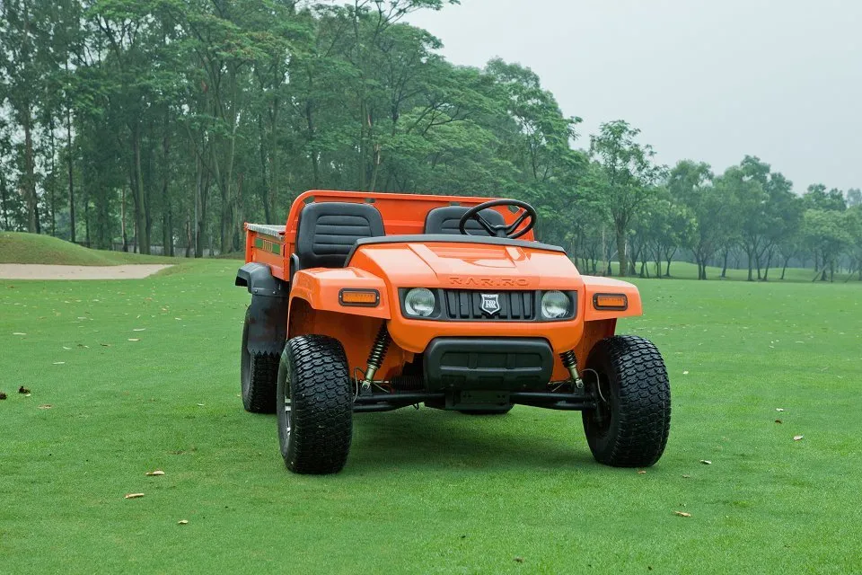 China 100km Range 48V Electric Utility Vehicle Cart