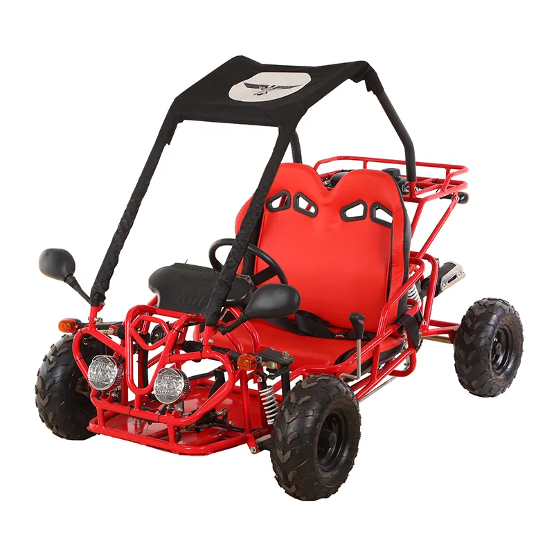 China 2021 New 110cc 2X4 Beach Buggy Sports Go Kart for Sales (G7-03)