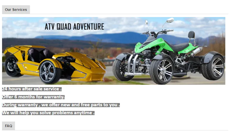 China New 110cc Kids Go Cart for Sale (MC-421)