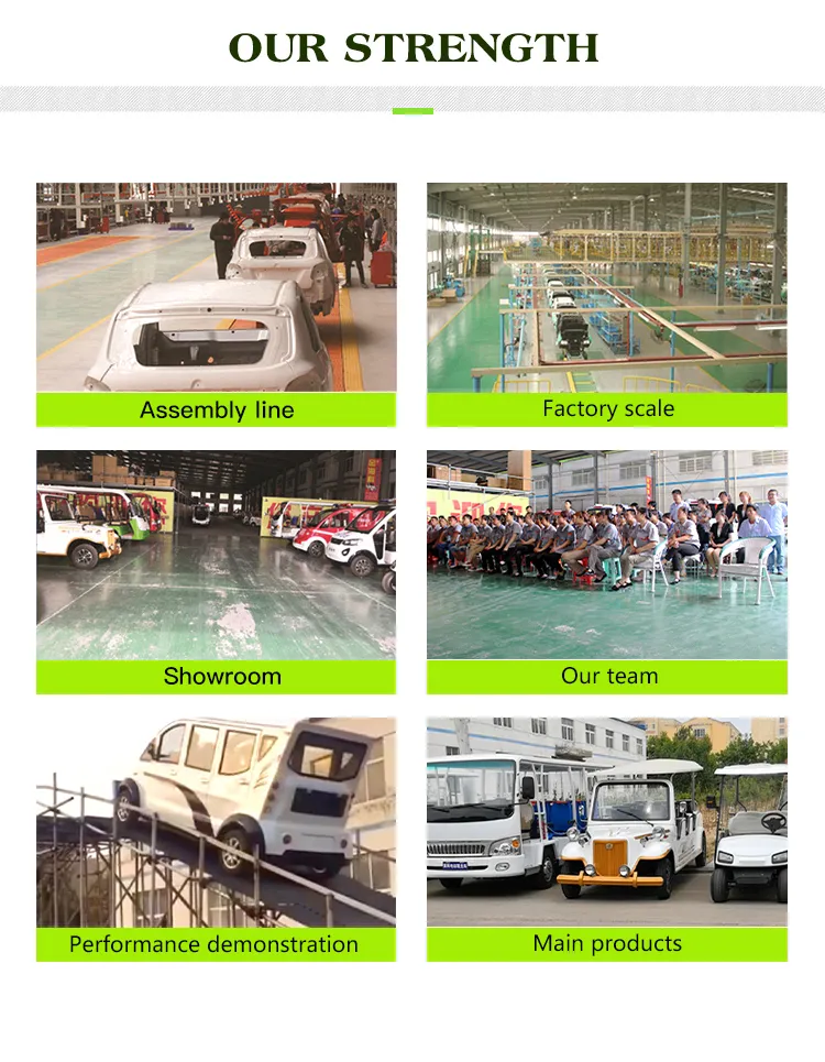 Course, Tourist Area, Villa, Amusement Park Can Be Cutomized Buggies Golf Buggy