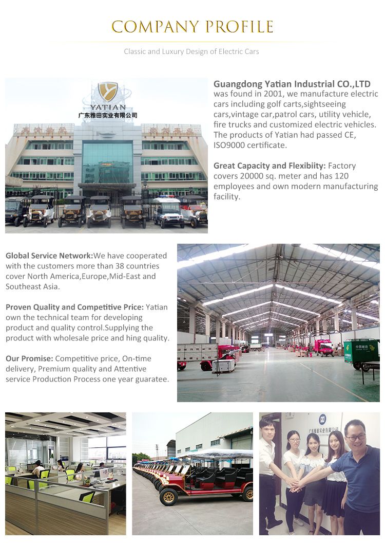 Customized Seats Retro Electric Classic Car VIP Matched Luxury Vintage Vehicle on Sale