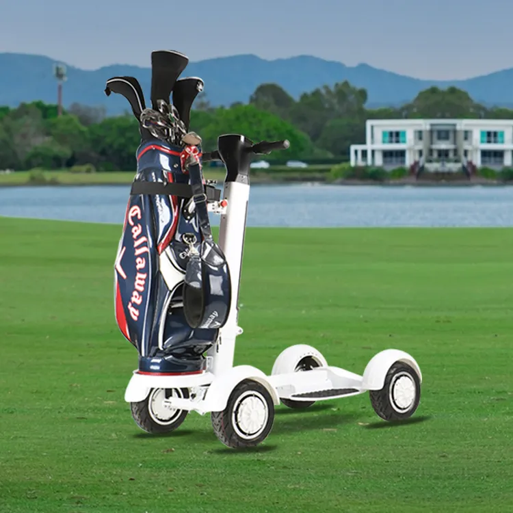 Ecorider 2021 New Style Hot Ecorider 4 Wheel Golf Skateboard E7-1 Stand up Golf Electric Cart with Removable Handle