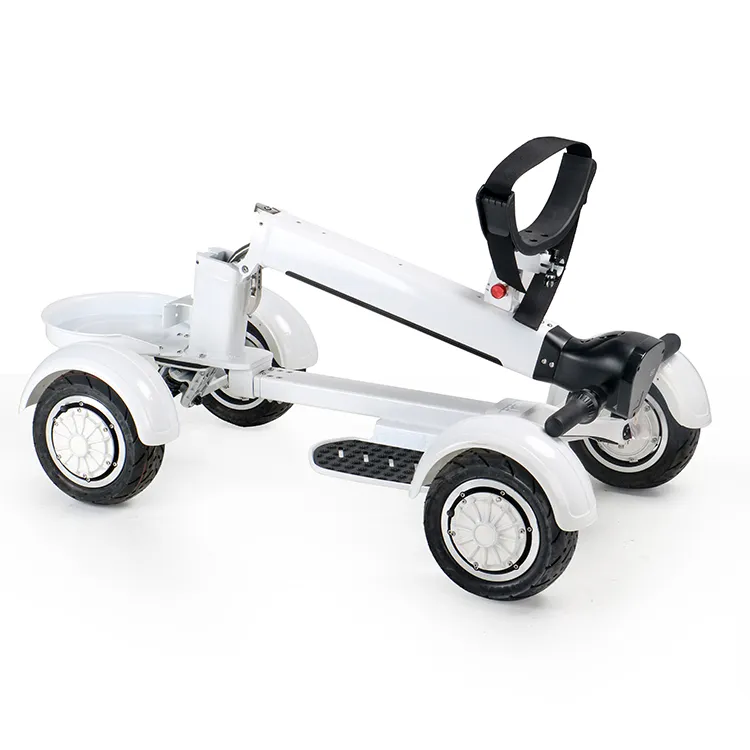 Ecorider E7-1 Foldable 1000W 48V Electric Golf Skateboard 10 Inch Tire Four Wheels Golf Board Scooter with Seat Option