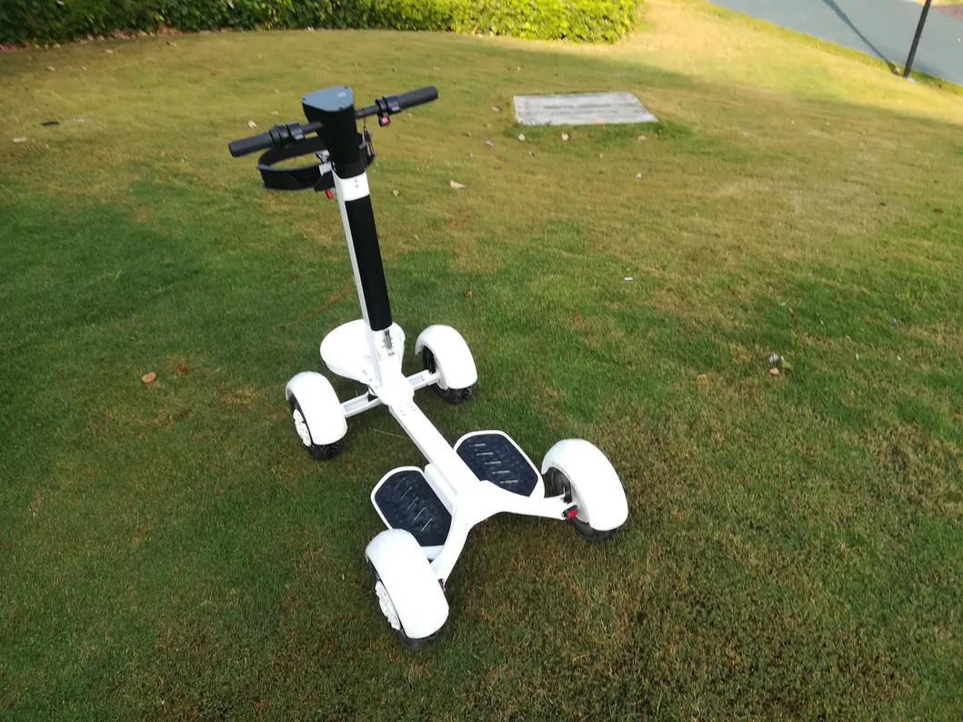 Ecorider E7-1 Foldable 1000W 48V Electric Golf Skateboard 10 Inch Tire Four Wheels Golf Board Scooter with Seat Option