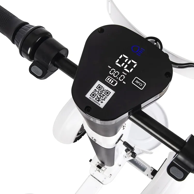 Ecorider Factory Supply 1000W 36V Golf Board Electric Scooters 4 Wheel Electric Golf Carts