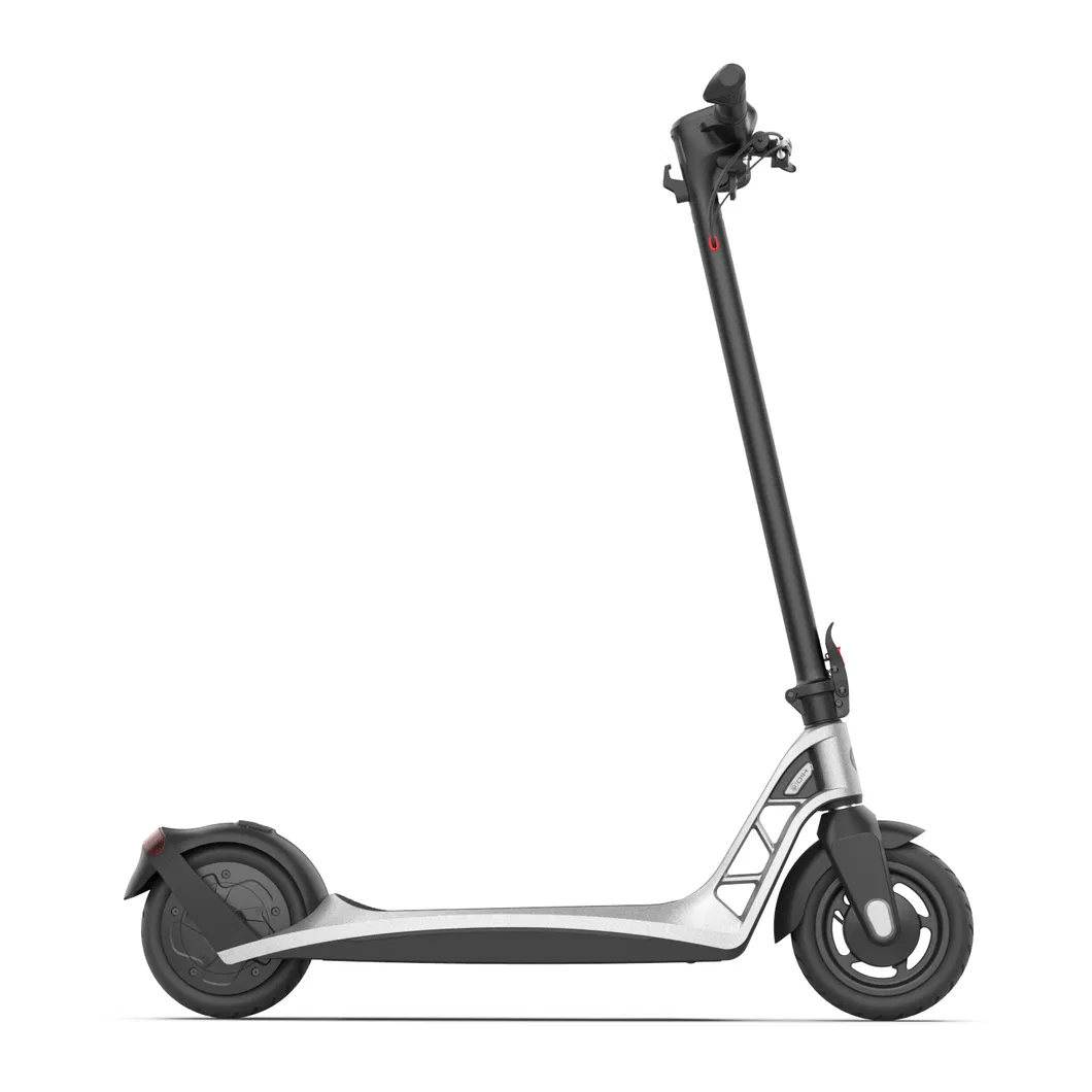 Ekfv Compliant 300W Power Scooter-Electric with Abe License Electric Scooter
