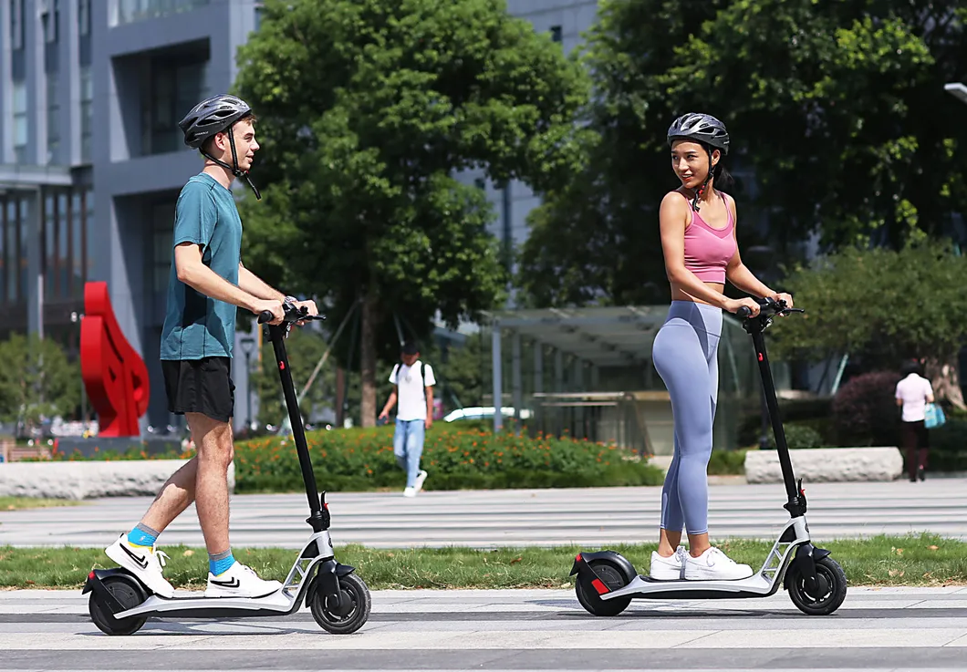 Ekfv Compliant 300W Power Scooter-Electric with Abe License Electric Scooter