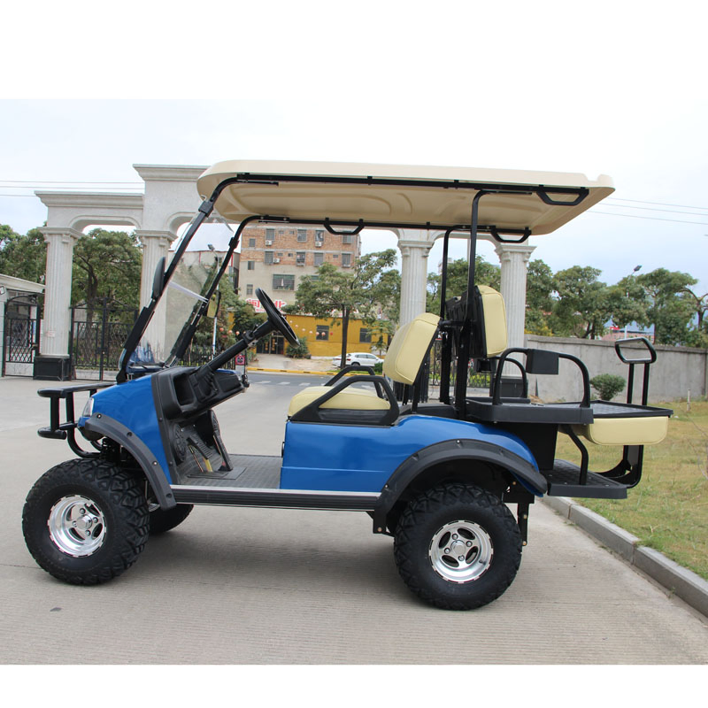 Electric Buggy Golf Cart Hunting Car (DEL2022D2Z, gold) Blackroof
