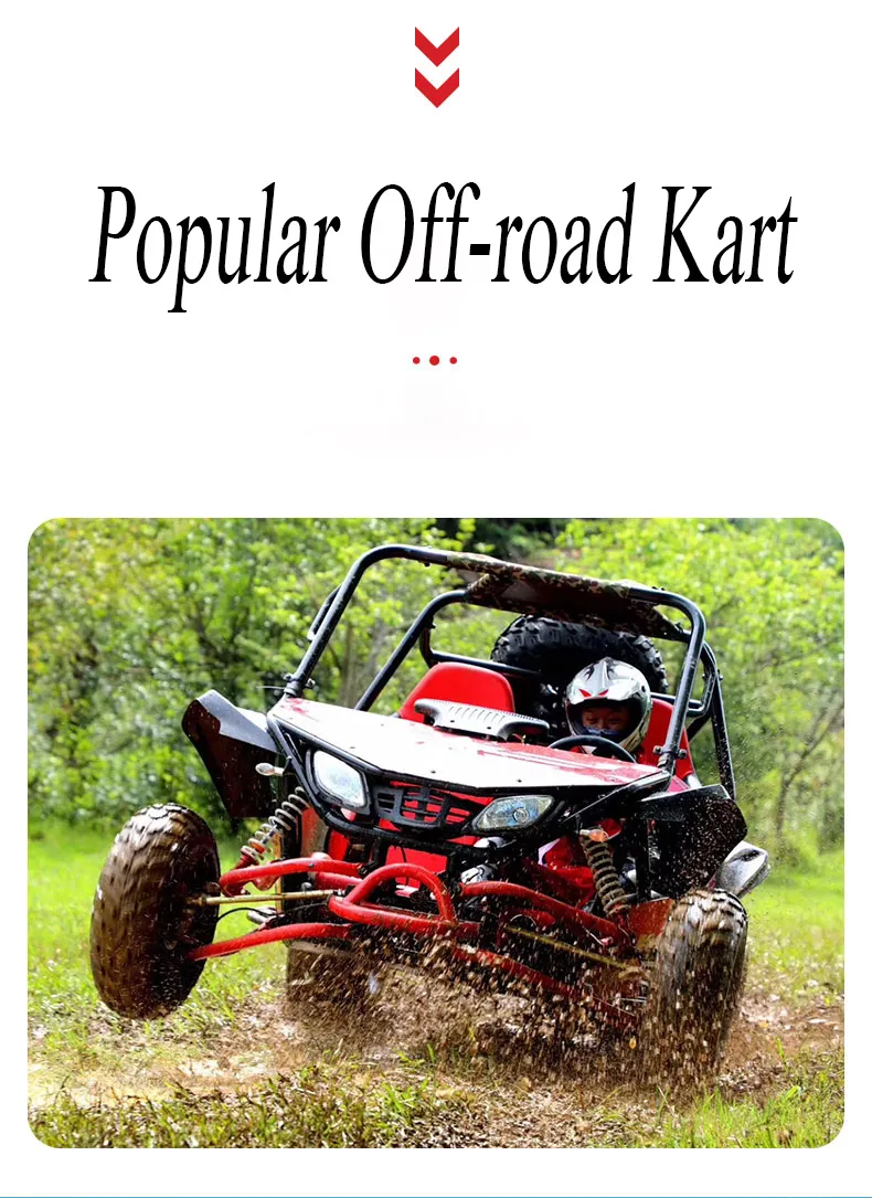 Gasoline 4 Stroke 200cc Racing Go Kart for Sale, off Road Dune Buggy for Adults