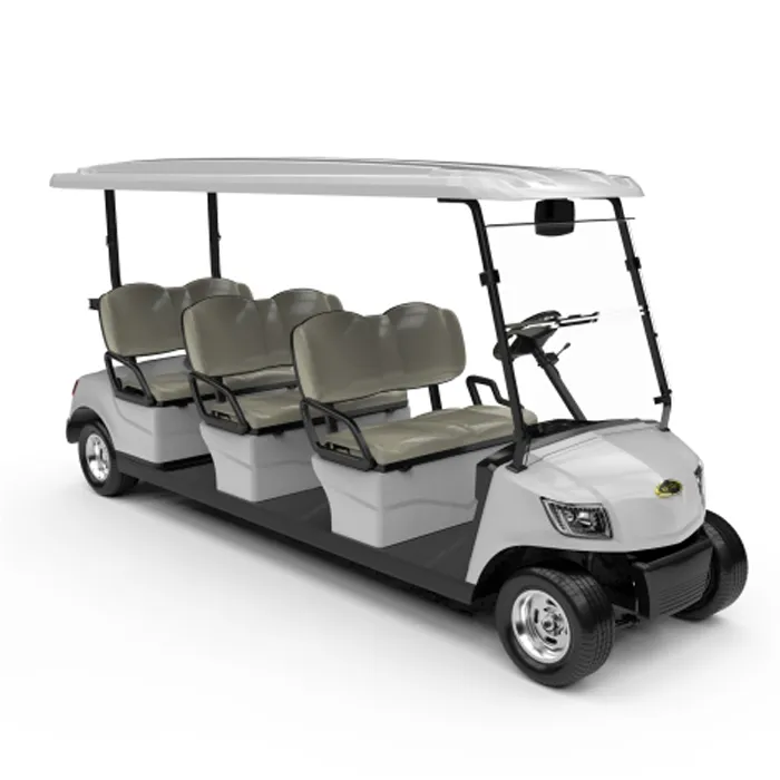 Hot Selling 6 Seater Electric Lithium Battery Golf Cart Golf Buggy (DG-M6)