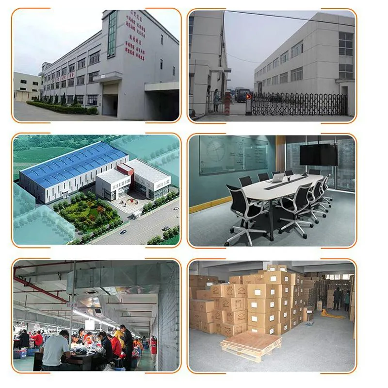 Hot Selling Fast Delivery 7 Ply Maple Cx4 Cx7 Blank Skateboard /Surfskate