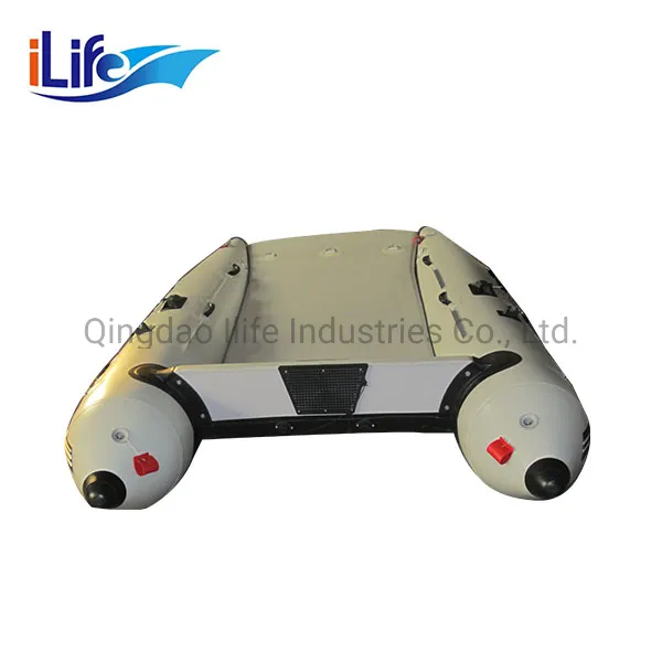 Ilife High Quality Racing Catamaran with Fiberglass Wing for Sale!