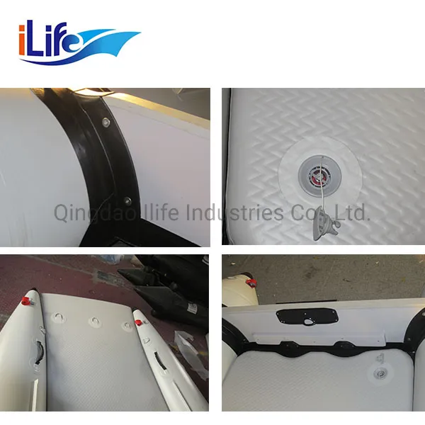 Ilife High Quality Racing Catamaran with Fiberglass Wing for Sale!