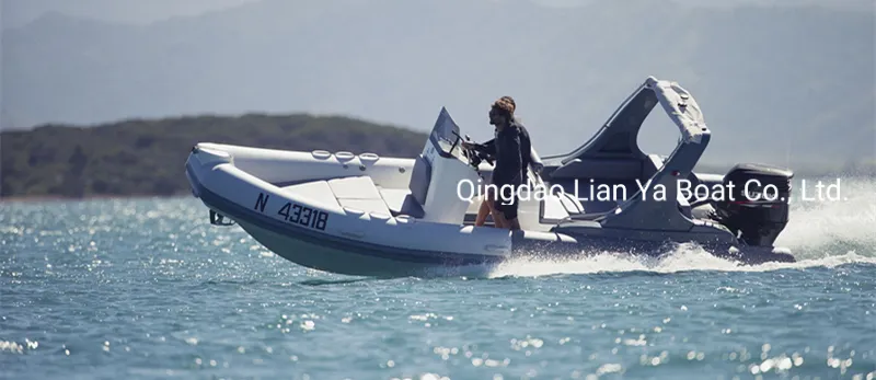 Liya 6.6meter/22feet Rib Boat Hypalon Large Inflatable Rigid Boat Ce