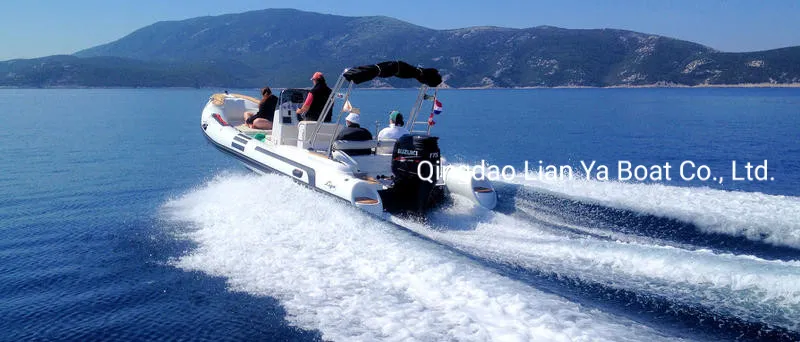 Liya 6.6meter/22feet Rib Boat Hypalon Large Inflatable Rigid Boat Ce
