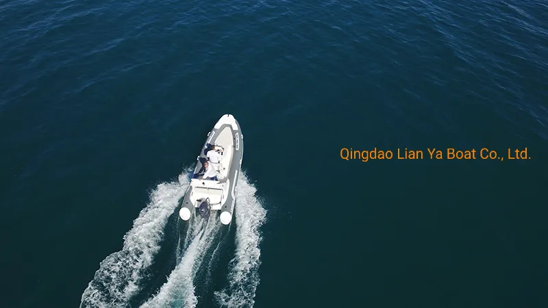 Liya 5.2m Small Fiberglass Inflatable Ferry Boat for Sale