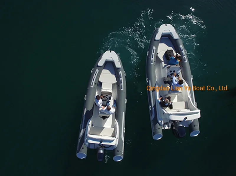Liya 5.2m Small Fiberglass Inflatable Ferry Boat for Sale