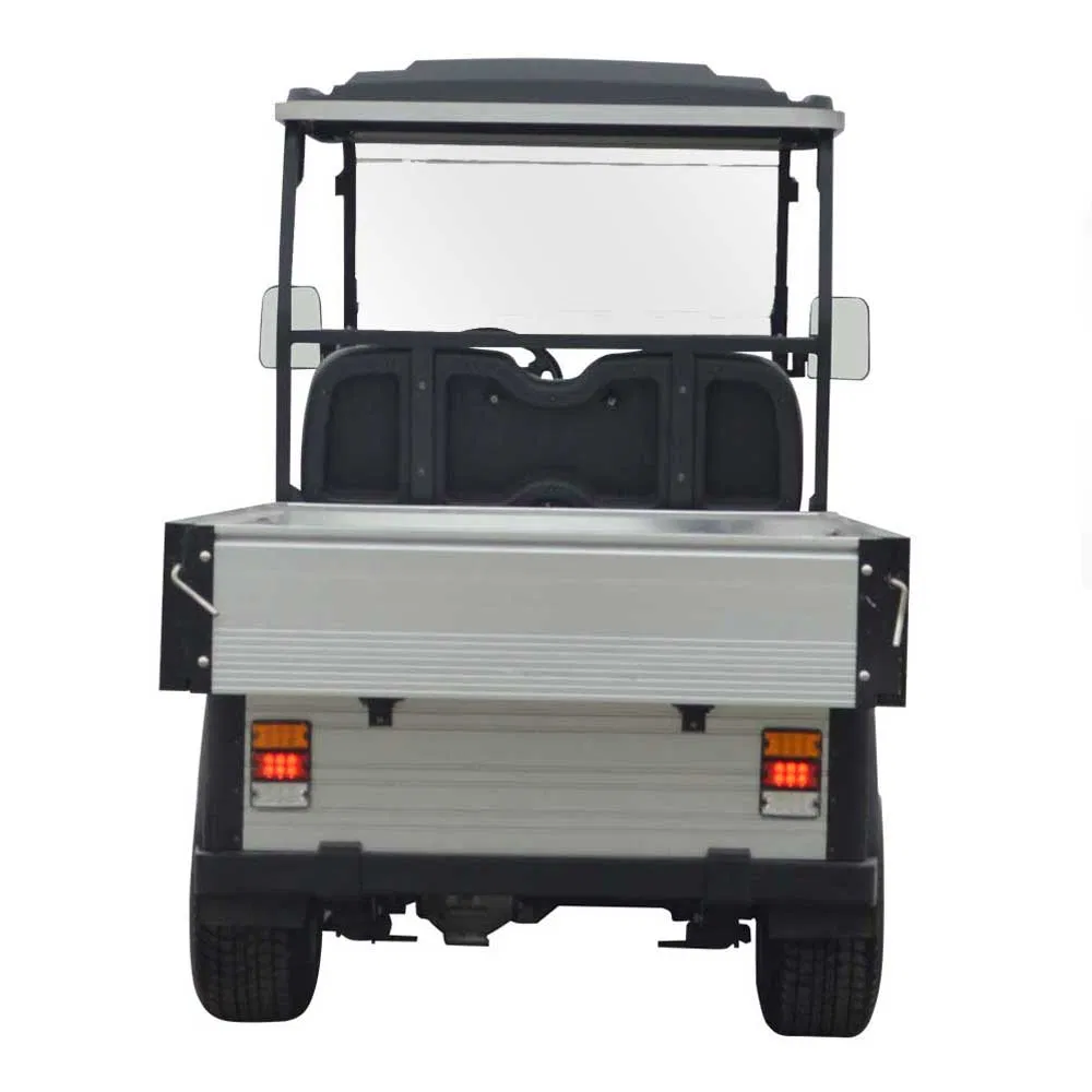 Lvtong Mini Cart 2 Passengers Electric Golf Buggy