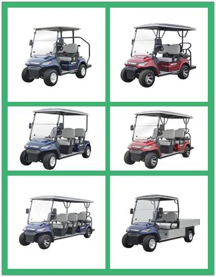 Lvtong Mini Cart 2 Passengers Electric Golf Buggy