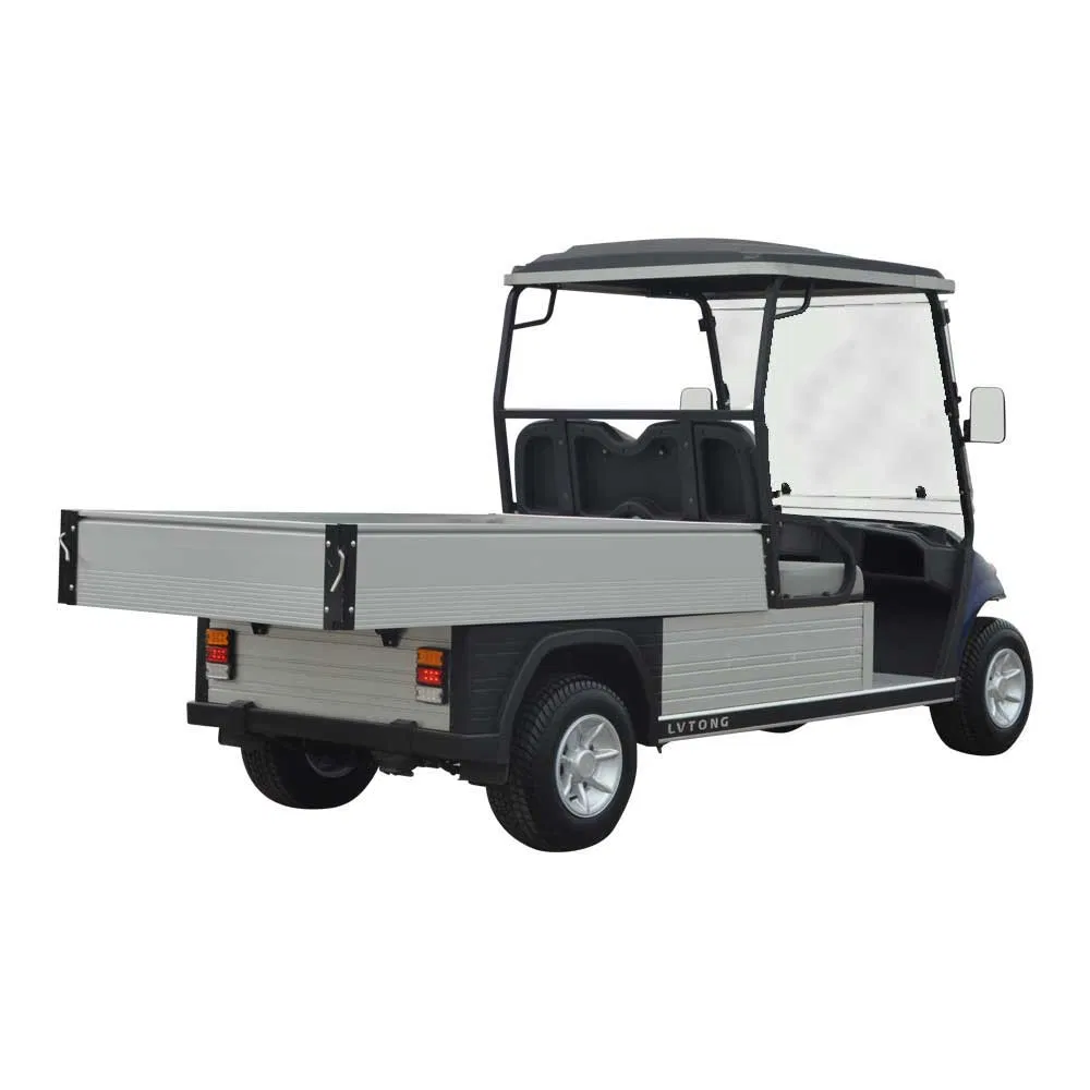 Lvtong Mini Cart 2 Passengers Electric Golf Buggy