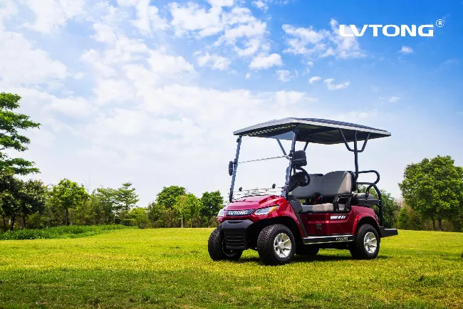Lvtong Mini Cart 2 Passengers Electric Golf Buggy